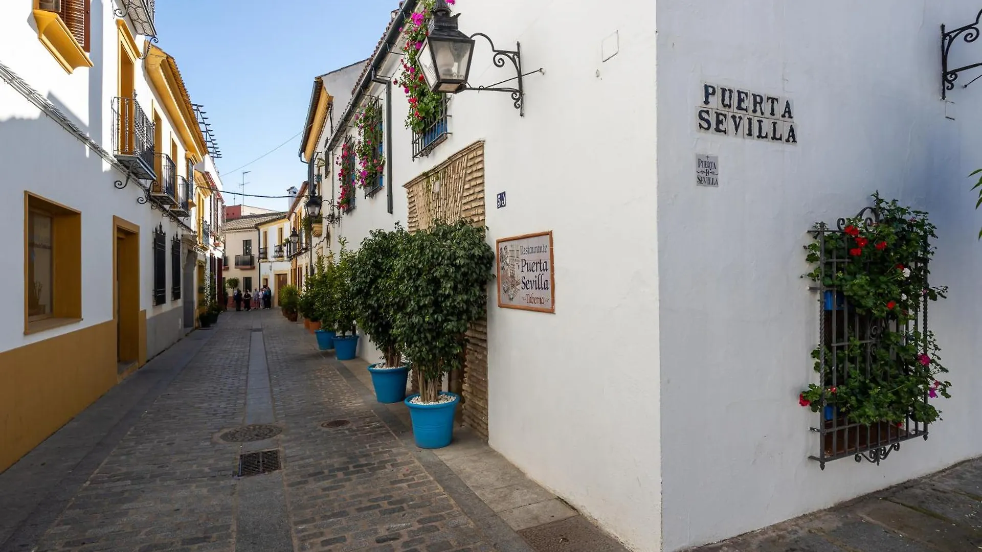 Las Flores De San Basilio Cordoba