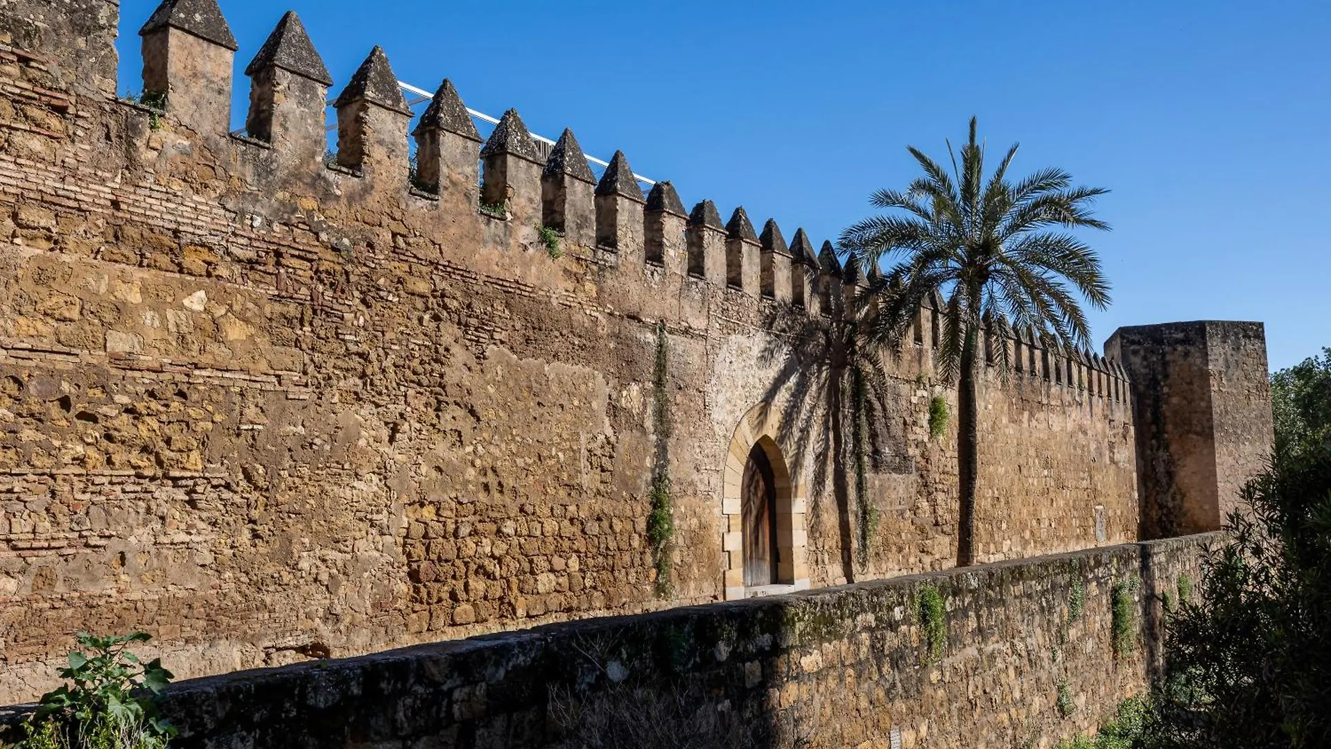 Las Flores De San Basilio Cordoba