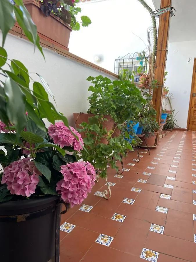 Las Flores De San Basilio Cordoba Apartment