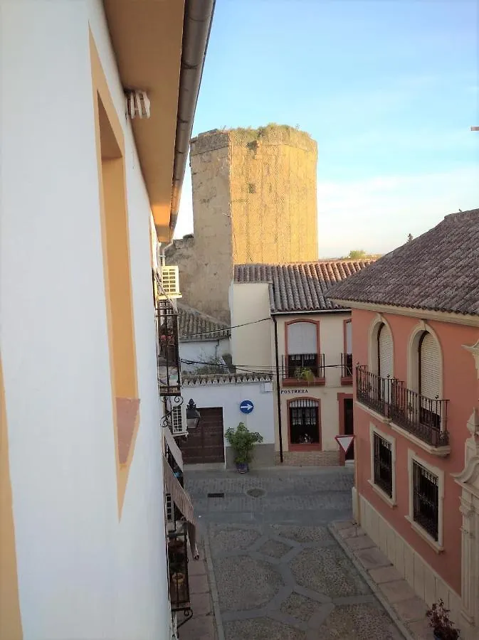 Las Flores De San Basilio Cordoba Spain