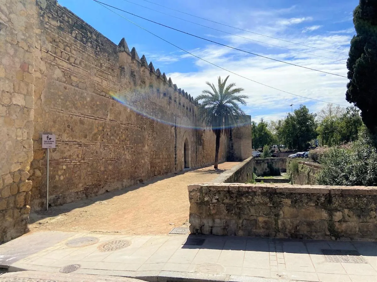 Las Flores de San Basilio Córdoba